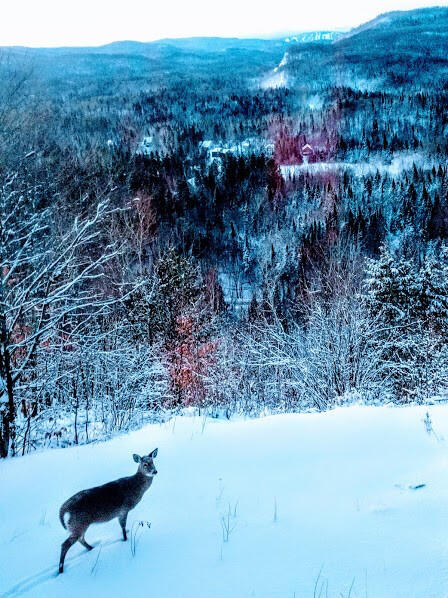 Looking down into the valley Prélude d’hiver/Winter prelude