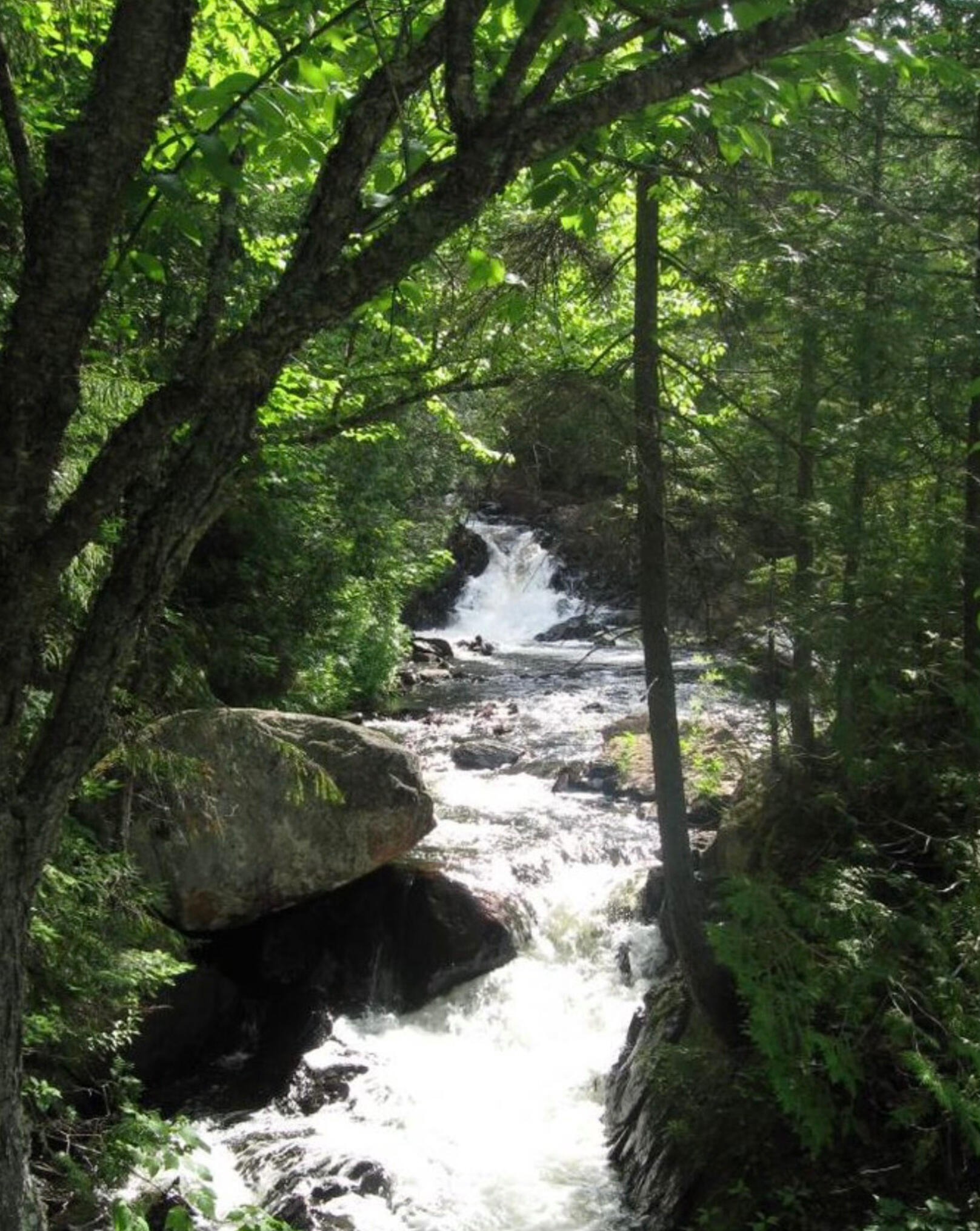 #Hiking,#nature,#laurentians